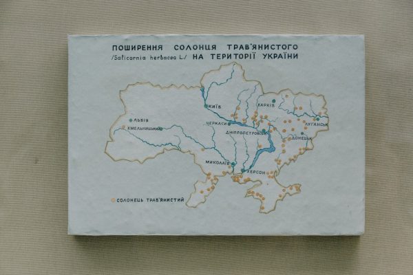 c915fb19c72d4511b4eb1643d993ea188d2ec113